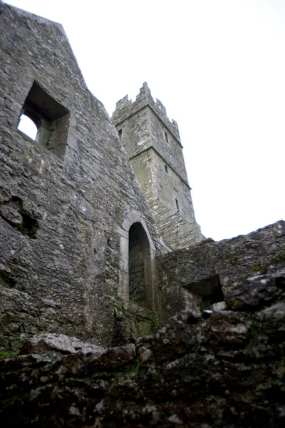 Pohled Věž Quin Abbey Irsko — Stock fotografie