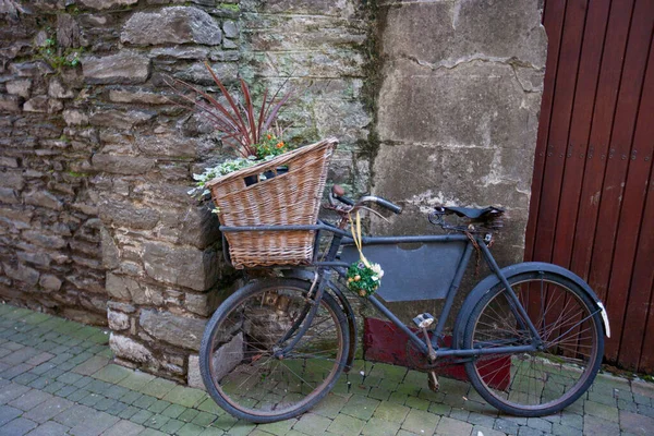 Old Bicycle Basket Flowers — Stock Photo, Image