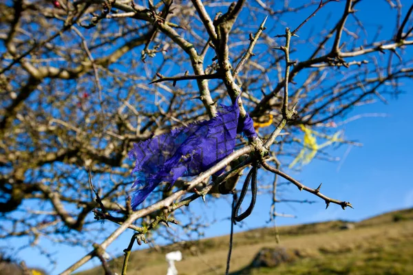 Árbol Hadas Loughcrew Cairn Irlanda —  Fotos de Stock