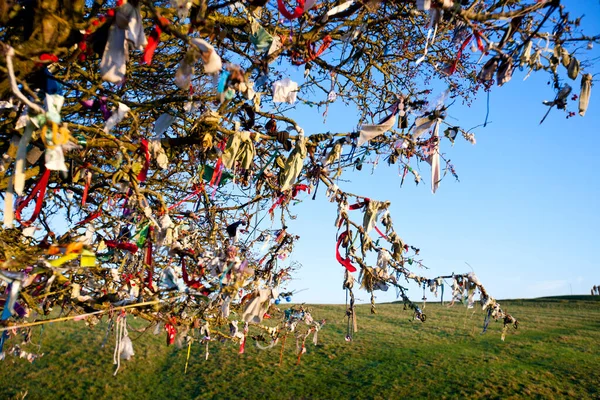 Nahaufnahme Von Fairy Tree Auf Dem Hügel Von Tara Irland — Stockfoto