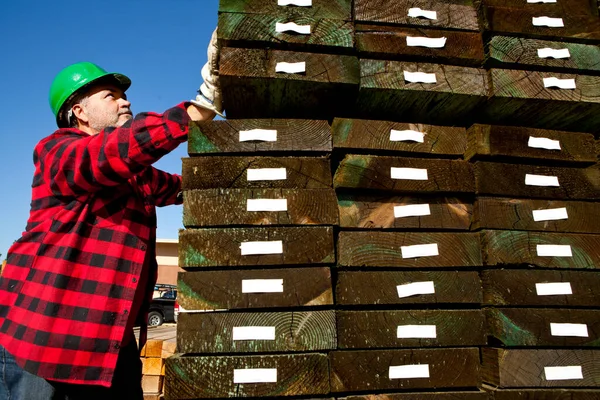硬木杭の前で木材を検査する労働者 — ストック写真