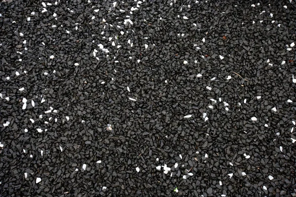 Wet Black Gravel Some White Pebbles Royalty Free Stock Photos