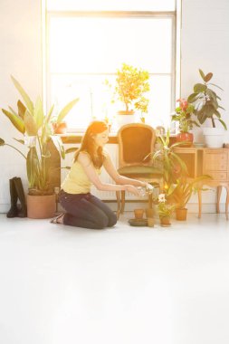 Bir kadın yaz günü saksıda çiçeklerle ilgileniyor.