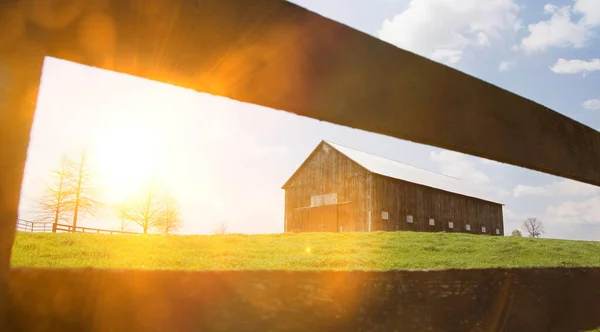 Schuur Het Veld Met Hek Achtergrond — Stockfoto