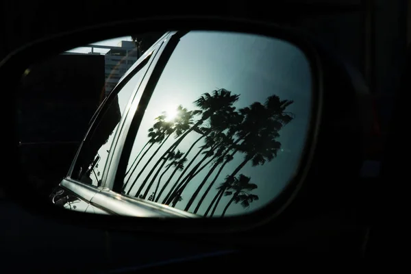 Palmbomen Reflecteren Auto Spiegel — Stockfoto