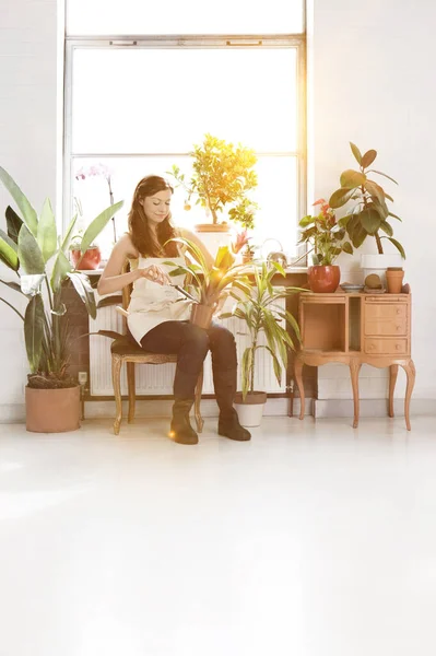 Vrouwen Met Potplanten Thuis Kantoor — Stockfoto