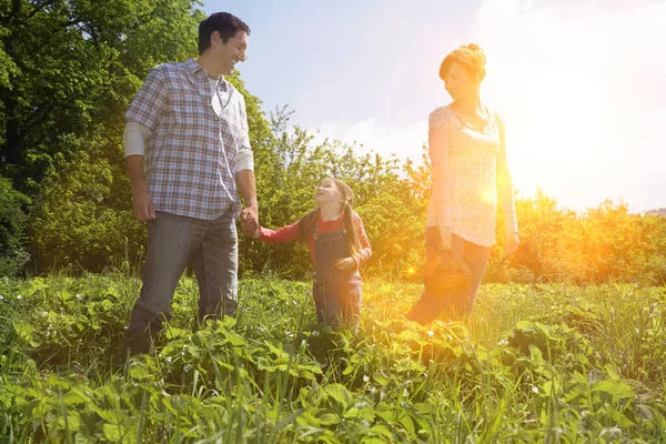 Çilek Tarlasında Aile — Stok fotoğraf