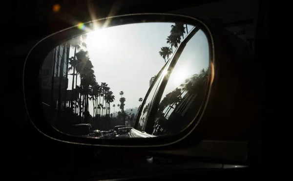 자동차 거울에 야자나무들 — 스톡 사진