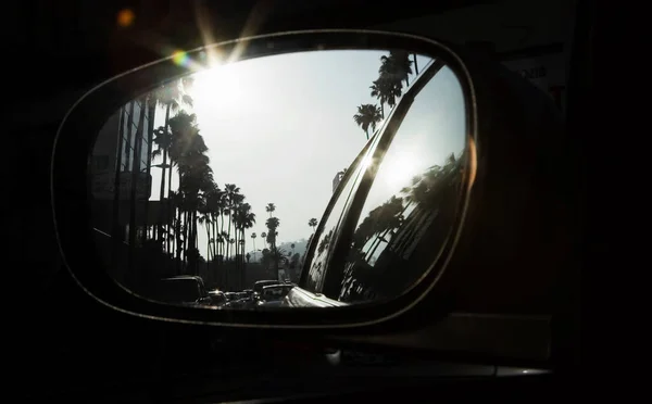 Palmeiras Refletindo Espelho Carro — Fotografia de Stock