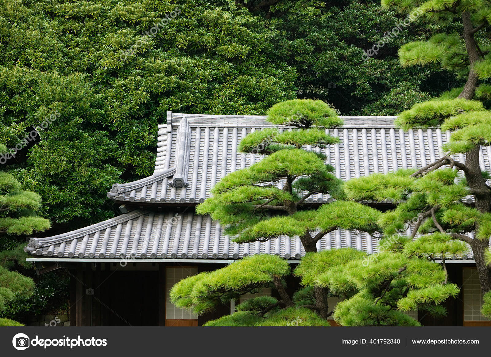 Rumah Tradisional Jepang Hutan Bambu Stok Foto Londondeposit 401792840