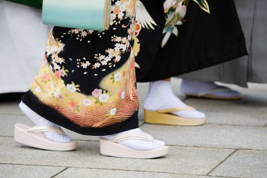 Geleneksel Giyimli Japon Kadınları