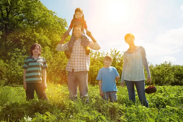 Famiglia Nel Campo Delle Fragole — Foto Stock