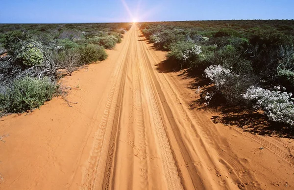 Carretera Del Desierto Con Huellas Furgonetas Interior — Foto de Stock
