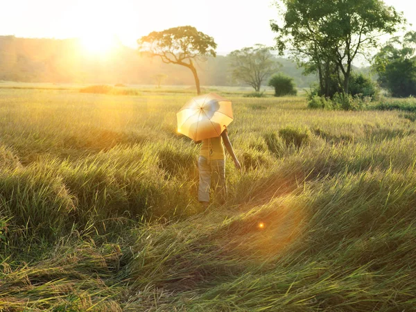 Woman walking in field with parasol protecting her from the sunshine