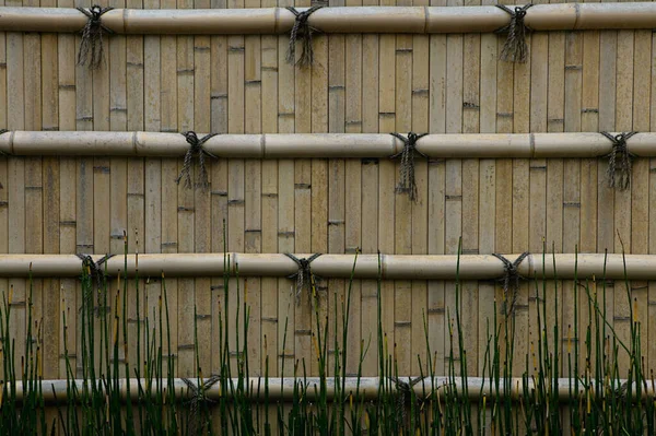 Bamboo Wall Background Close — Stock Photo, Image