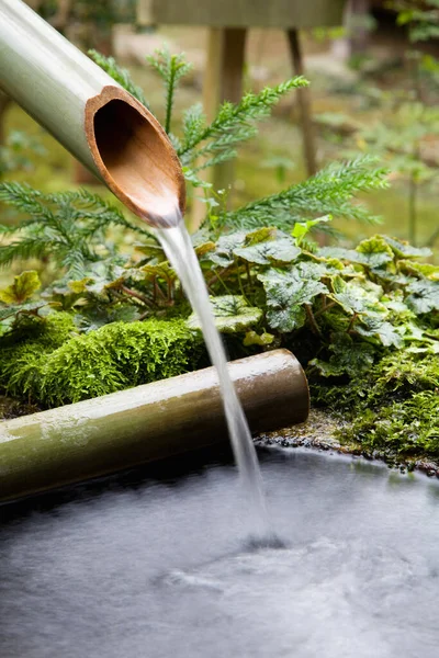 Água Que Flui Tubo Bambu — Fotografia de Stock