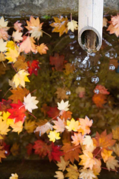 Water Running Bamboo Pipe Autumn Leaves Water Surface — Stock Photo, Image