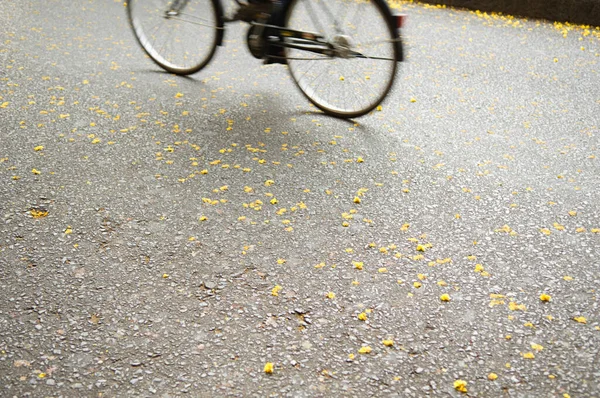 Baixa Visão Homem Bicicleta Ciclismo — Fotografia de Stock