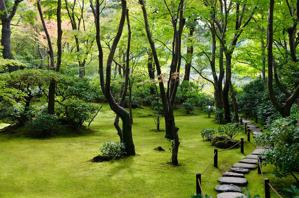 Path in Japanese garden on background, close up