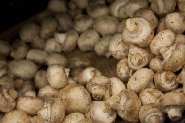 Primo Piano Dei Funghi Pulsante Nel Negozio Alimentari — Foto Stock