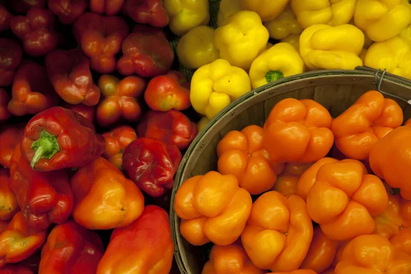 Multicolored Bell Peppers Display Market — Stock Photo, Image
