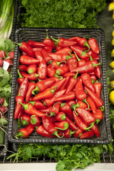 Primer Plano Chiles Rojos — Foto de Stock