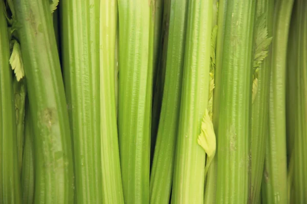 Close Celery Sticks Background Close — Stock Photo, Image