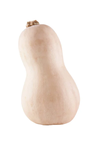 Butternut Squash Hintergrund Nahaufnahme — Stockfoto