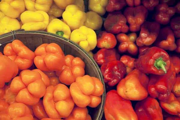 Multicolored Bell Peppers Display Market — Stock Photo, Image