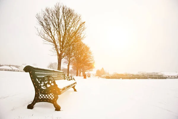 Parkbank Park Bedekt Met Sneeuw — Stockfoto