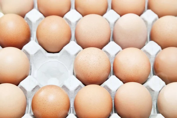 一列の卵が行方不明 — ストック写真
