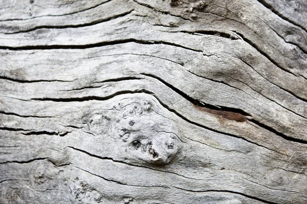 Close Cracked Wood Background — Stock Photo, Image