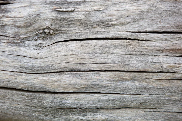 Zbliżenie Pękniętego Tła Drewna — Zdjęcie stockowe