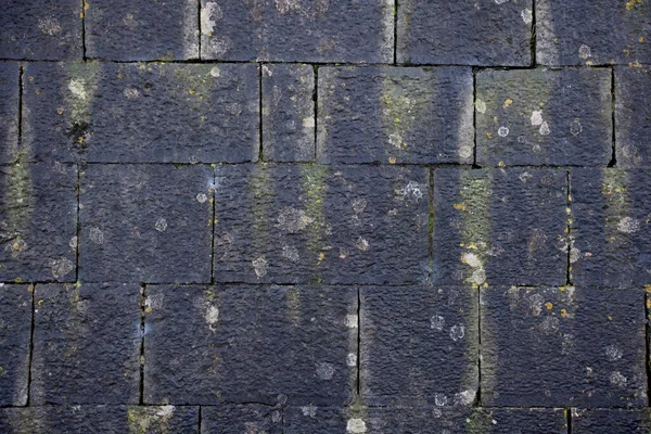 Slate Roof Moss Background — Stock Photo, Image