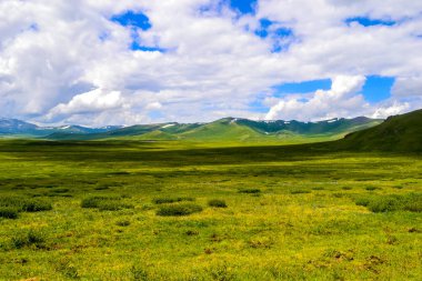 Altay Dağları dünyada en güzel yer