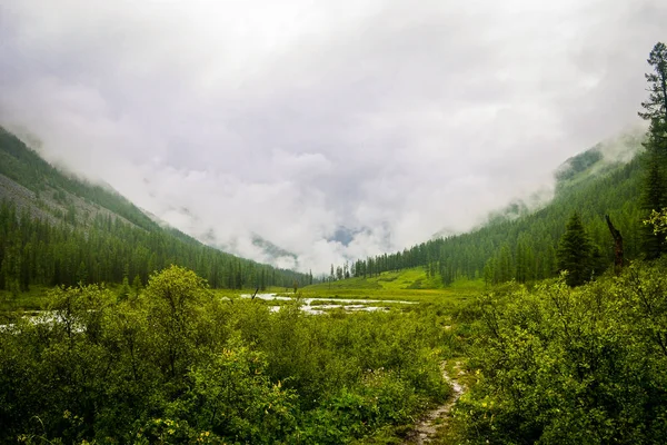Altajské Hory Nejkrásnější Místo Světě — Stock fotografie