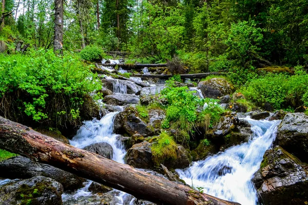 Mountain Altai Most Beautiful Place World Waterfall — Stock Photo, Image