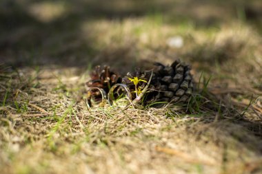 Gelin düğün elbisesini giyer kadar düğün dekorasyon ve süsleme, gelin buketi, yalan ve bekler