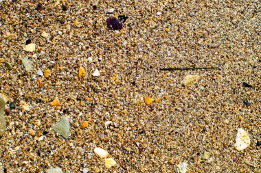 sıcak, tuzlu deniz suyu tarafından yıkanmış sarı kum ve küçük kabukları ile mayınları Karadeniz