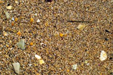 sıcak, tuzlu deniz suyu tarafından yıkanmış sarı kum ve küçük kabukları ile mayınları Karadeniz