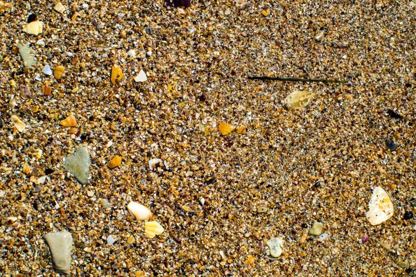sıcak, tuzlu deniz suyu tarafından yıkanmış sarı kum ve küçük kabukları ile mayınları Karadeniz