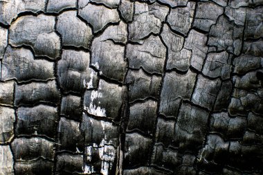 sonuna kadar yanıp kül değil kadar çok yakın zamanda burada kavuran alevler