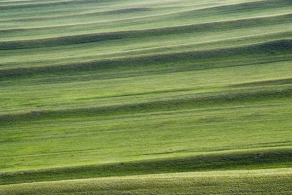 Verdes Texturizadas Colinas Comienzo Las Montañas Los Urales — Foto de Stock