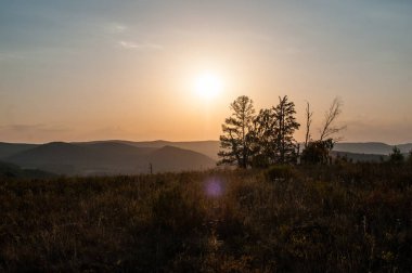 ön plan Ladin ve birkaç ağaç gövdeleri, dağlarda günbatımı uzun bir yangında yandı