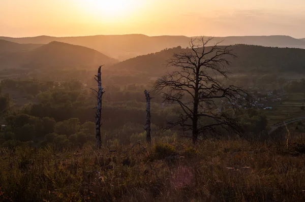 Sunset Mountains Foreground Spruce Several Tree Trunks Burned Long Fire — Stock Photo, Image