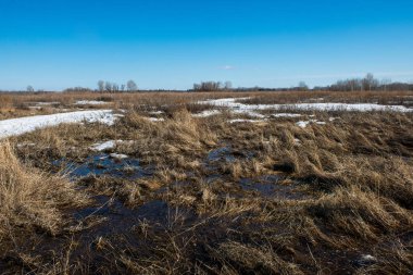 Bahar, kar erir ve eriyen su formları bir bataklık birikmiş