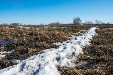 Bahar, kar erir ve eriyen su formları bir bataklık birikmiş