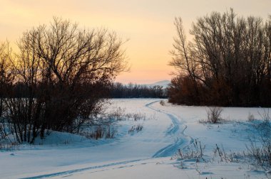 kış orman ve ayrıntılarını toplayan çok güzel özellikle günbatımında