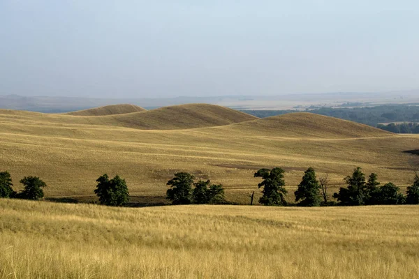 Žlutá Podzimní Hory Trávou Spálil Přes Léto — Stock fotografie