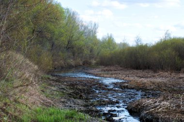 Bahar, kar erir ve eriyen su formları bir bataklık birikmiş